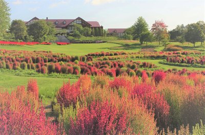 🌳 유니 정원 (유니 가든) 이미지 2